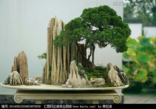 精品假山盆景