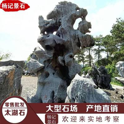 【太湖石市场太湖石假山太湖石原石批发图片】太湖石市场太湖石假山太湖石原石批发 - 英德市望埠镇杨记景石场